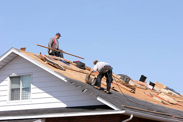 Best Roof Maintenance  in Uintah, UT